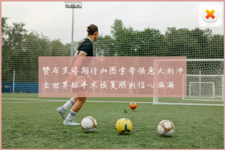 赞布罗塔期待加图索带领意大利冲击世界杯手术恢复顺利信心满满