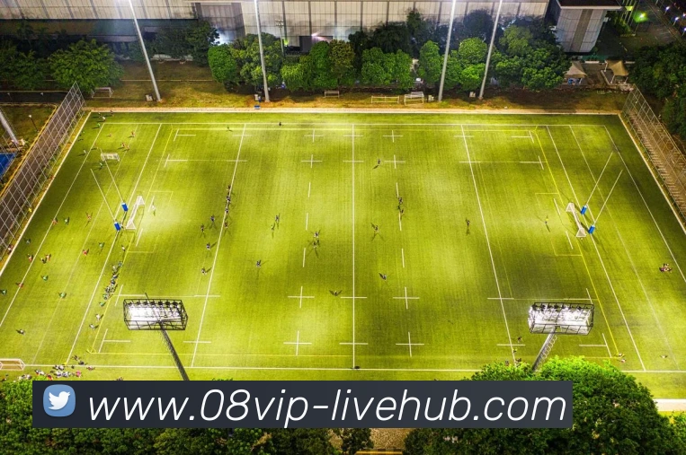 08vip体育平台生态图